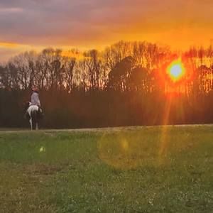 Meet your Posher, Katy